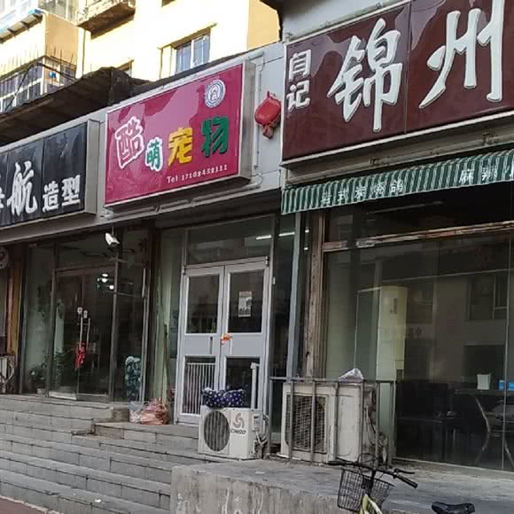 酷萌宠物:沈阳市沈河区五爱市场附近