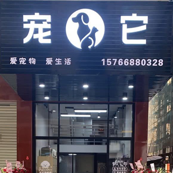 宠它宠物店:揭阳市榕城区