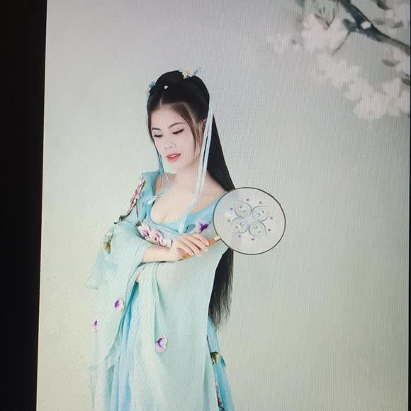 碰绒宠物生活馆:揭阳市榕城区