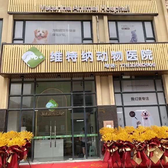 维特纳动物医院:揭阳市榕城区