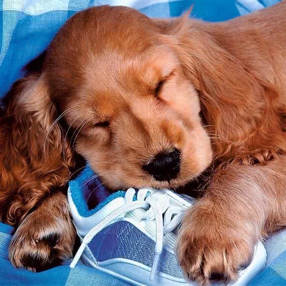 希岸咖啡店:揭阳市揭东区