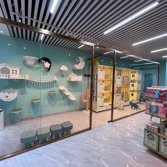 宠爱时光面包店:揭阳市揭东区