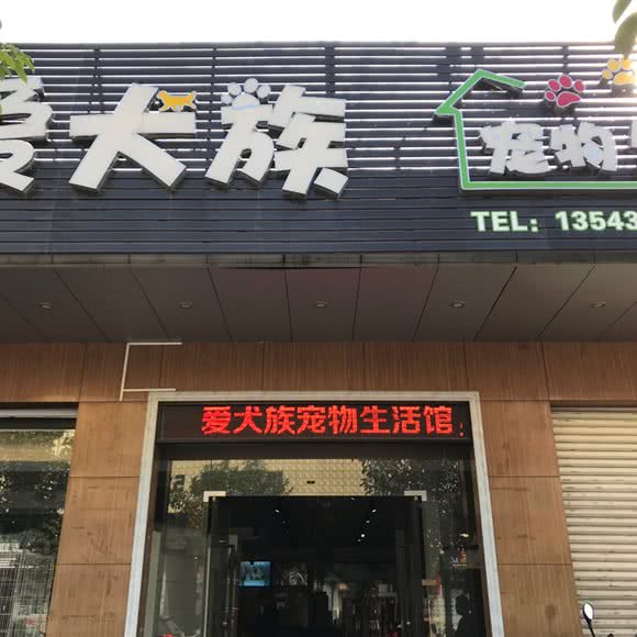爱犬族宠物生活馆:揭阳市揭西县