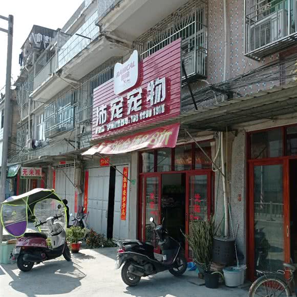 沛宠宠物(洪阳店):揭阳市普宁市