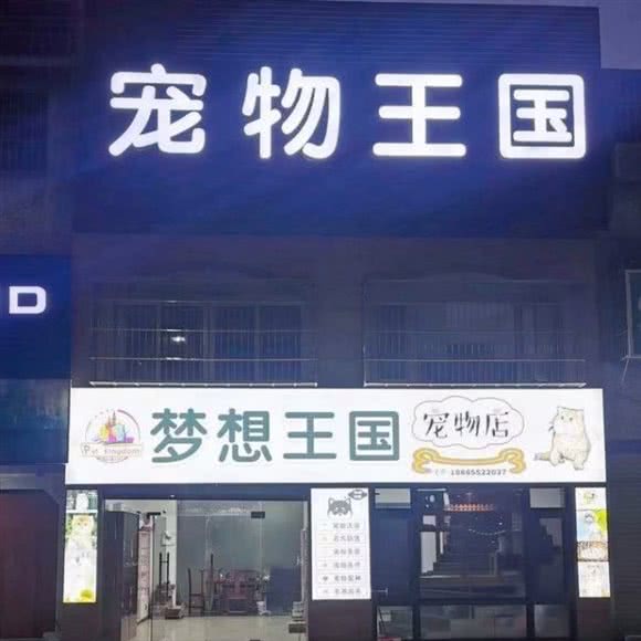 宠物王国:揭阳市普宁市