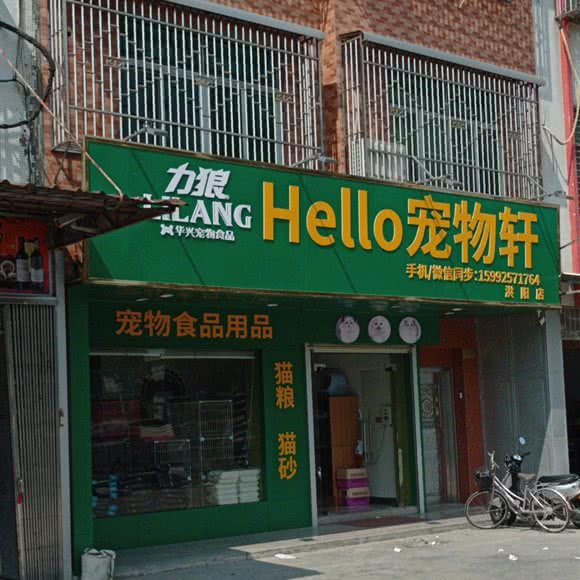 力狼Holle宠物轩(洪阳店):揭阳市普宁市