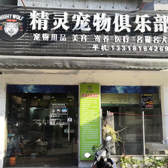 精灵宠物俱乐部:揭阳市普宁市