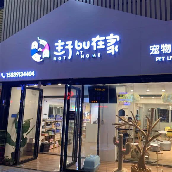 主子不在家:揭阳市普宁市