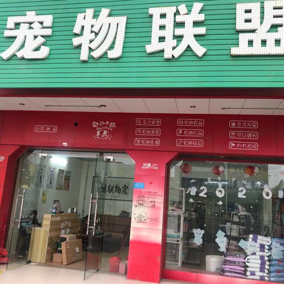 宠物联盟:揭阳市普宁市