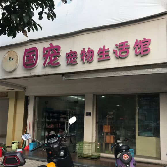 国宠宠物生活馆(新河东路店):揭阳市普宁市