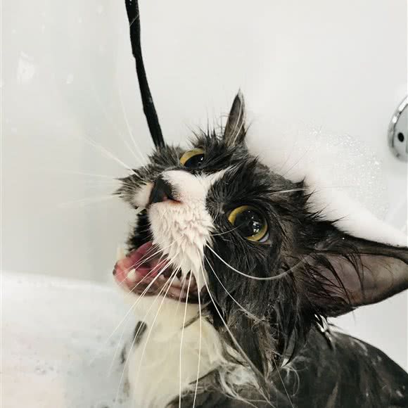 阿配之家(光明一号店):揭阳市普宁市