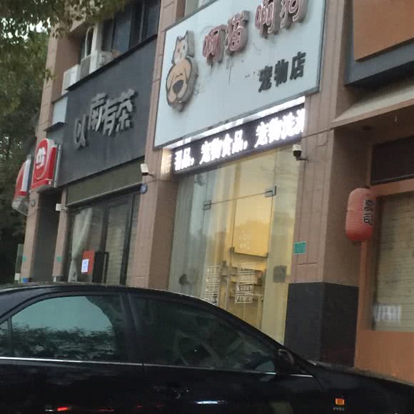 啊猫啊狗:揭阳市普宁市