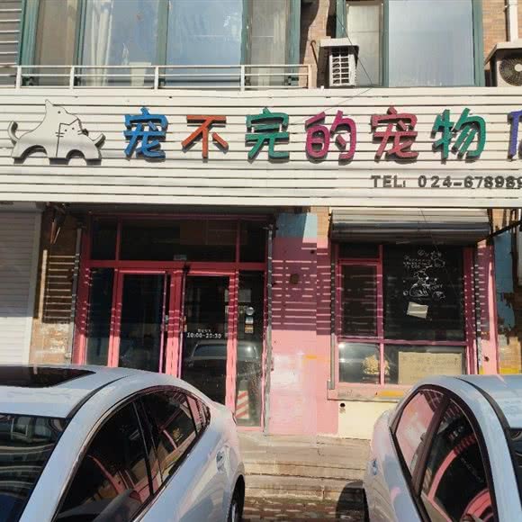 宠不完的宠物店:沈阳市沈河区长青街附近