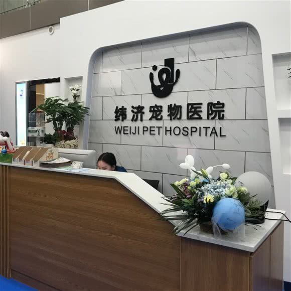 纬济宠物医院(普宁广场店):揭阳市普宁市