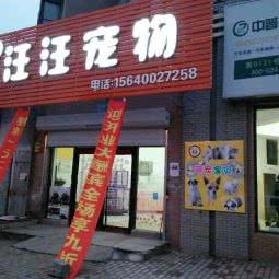 汪汪宠物:沈阳市沈河区长青街附近