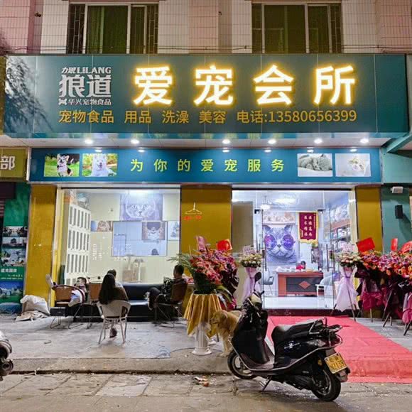 爱宠会所:云浮市新兴县