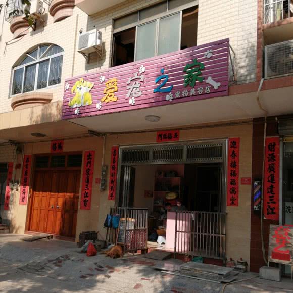 爱宠之家宠物美容店:云浮市郁南县