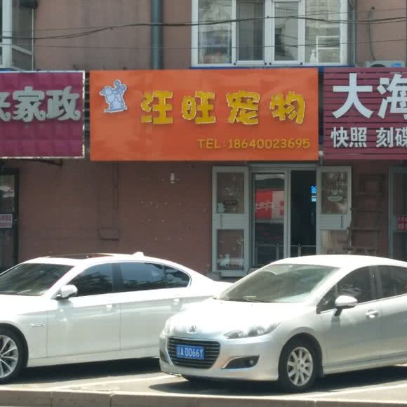 汪旺宠物:沈阳市沈河区长青街附近