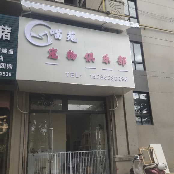 喵苑宠物俱乐部:南宁市邕宁区