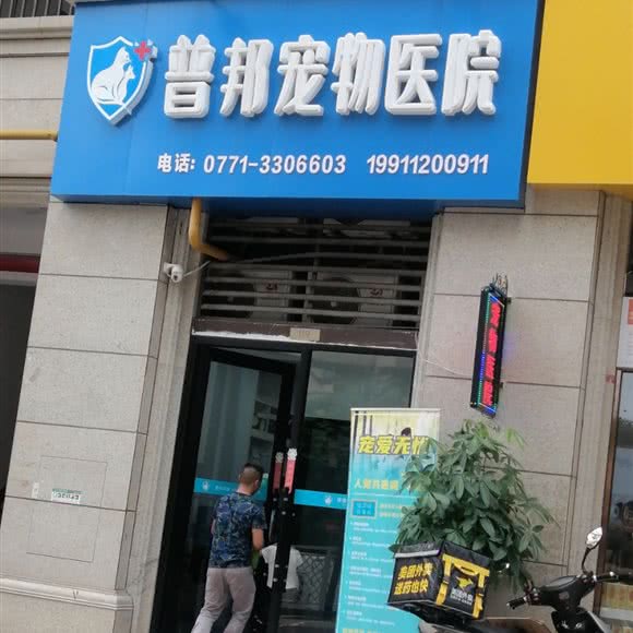 普邦宠物医院:南宁市隆安县