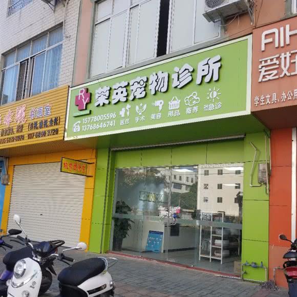 荣英宠物诊所:南宁市横州市
