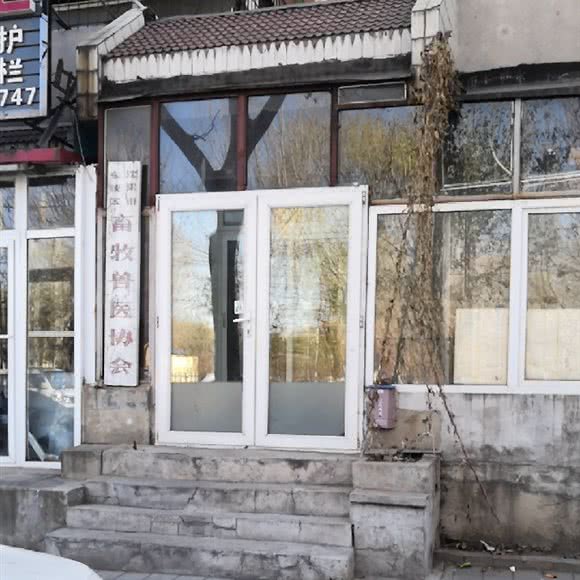 畜牧兽医协会动物诊疗门诊:沈阳市沈河区长青街附近