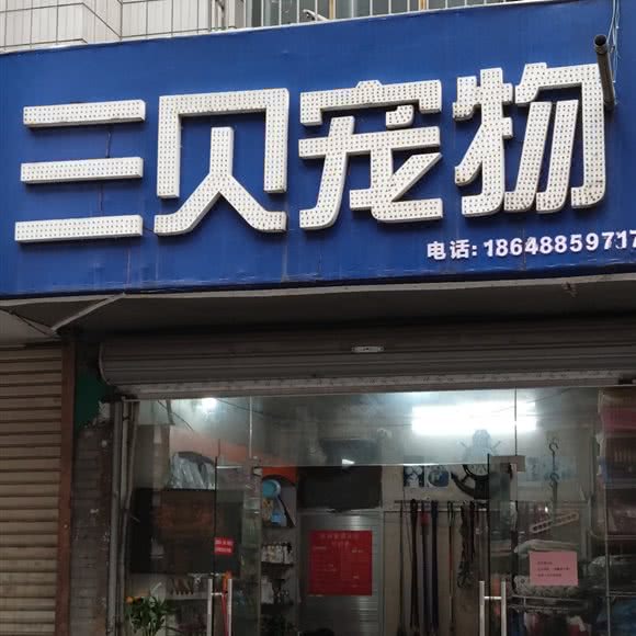 三贝宠物:柳州市柳北区