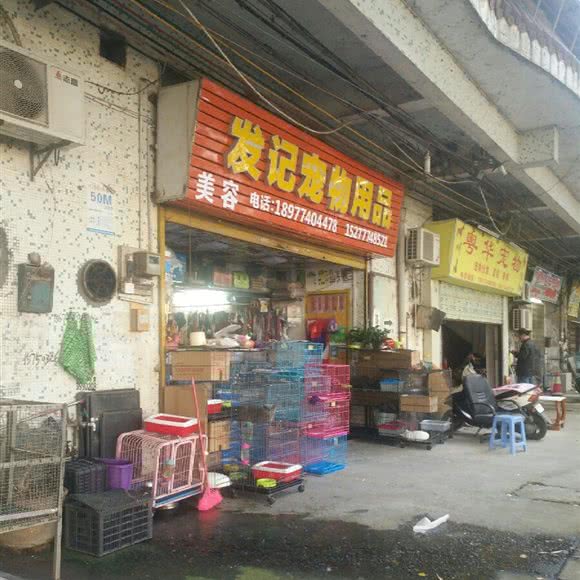 发记宠物用品:梧州市万秀区