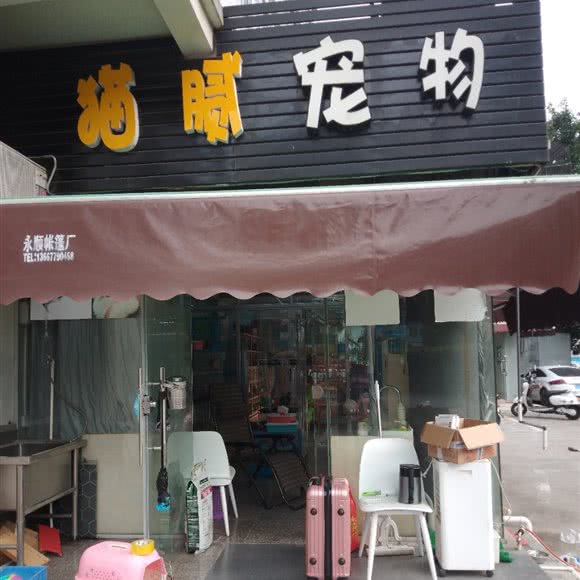 猫腻宠物(环卫路店):北海市海城区