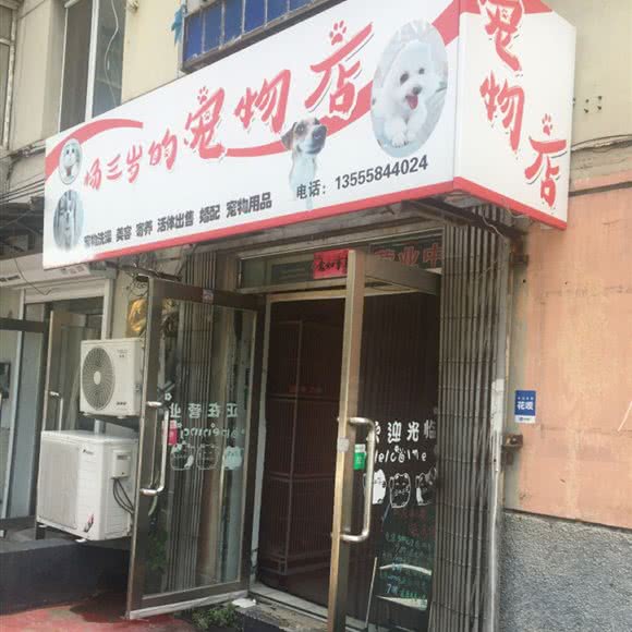 杨三岁的宠物店:沈阳市大东区大悦城附近