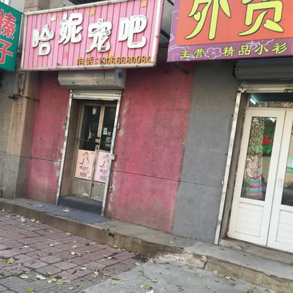 哈妮宠吧:沈阳市大东区黎明广场附近