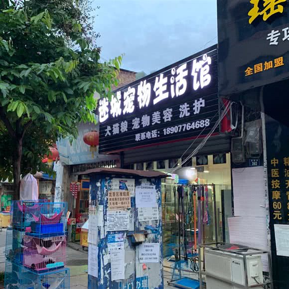 迷城宠物生活馆:百色市右江区