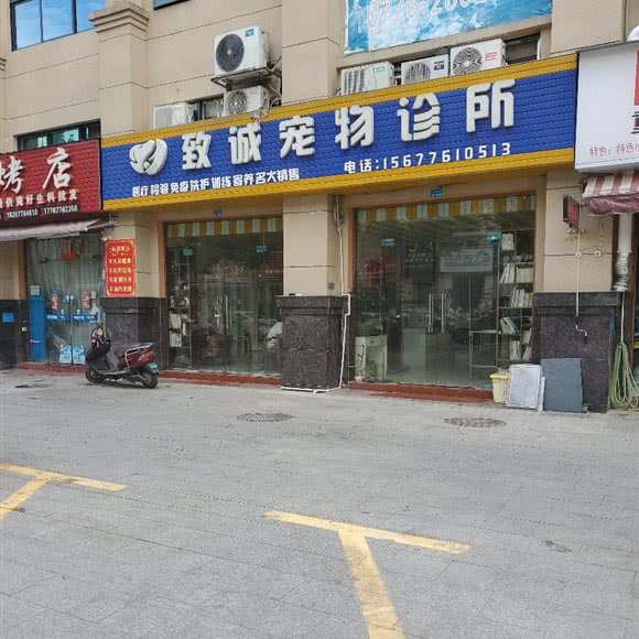 致诚宠物诊所:百色市右江区