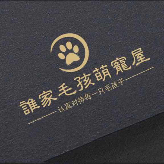 谁家毛孩萌宠屋:沈阳市大东区黎明广场附近