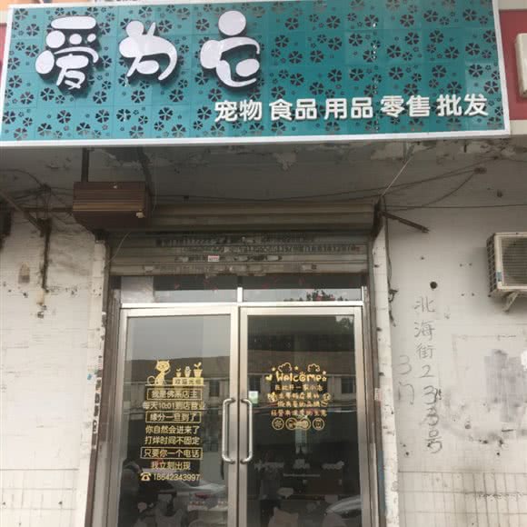 爱为它:沈阳市大东区黎明广场附近