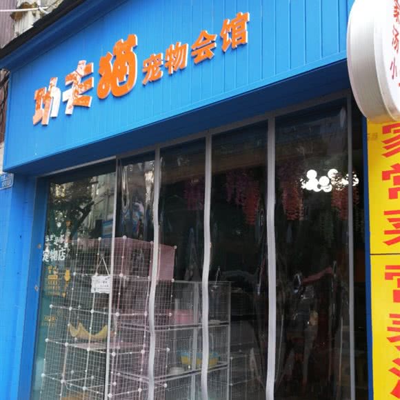 功夫猫宠物会馆:重庆城区万州区
