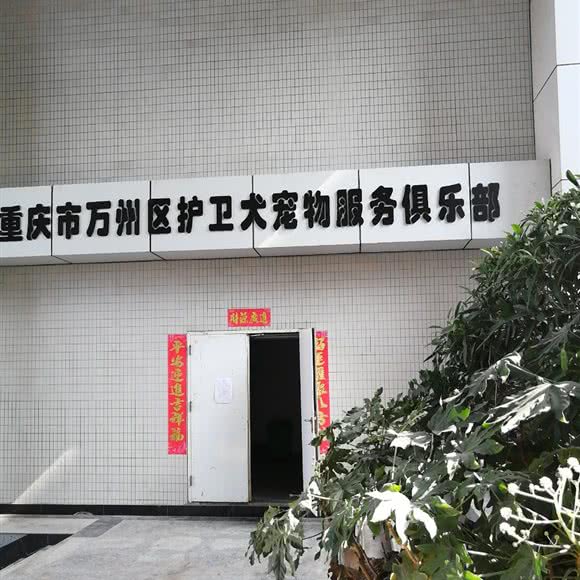 重庆市万州区护卫犬宠物服务俱乐部:重庆城区万州区