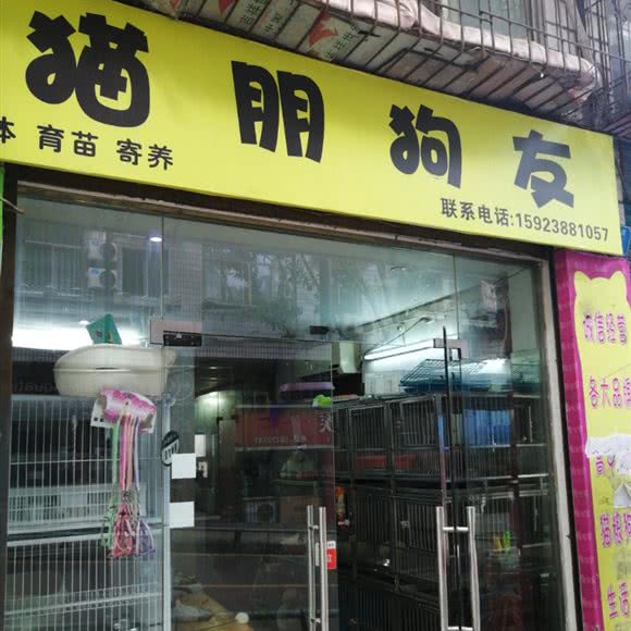猫朋狗友:重庆城区万州区