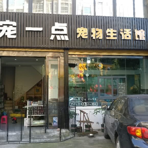 宠一点宠物生活馆:重庆城区万州区