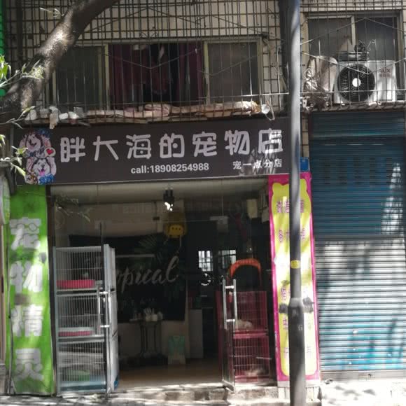 胖大海的宠物店(宠一点分店):重庆城区万州区