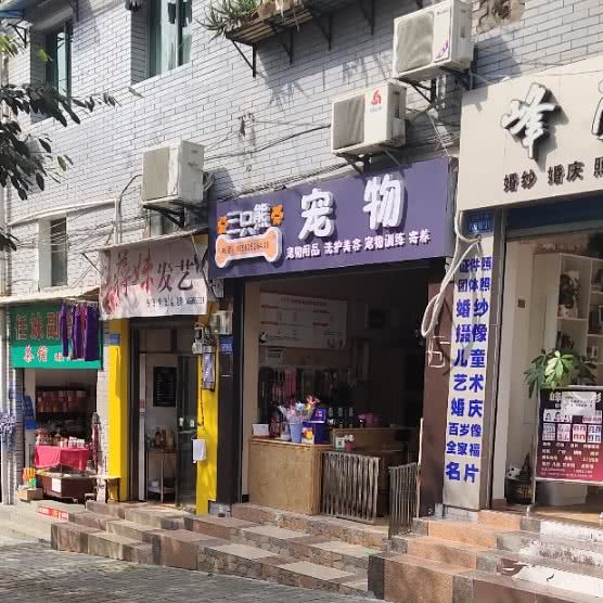 三只熊宠物:重庆城区万州区