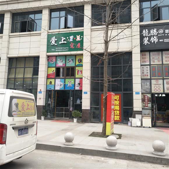 爱上宠屋:重庆城区万州区