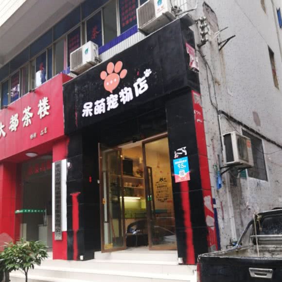 呆萌面包店:重庆城区万州区