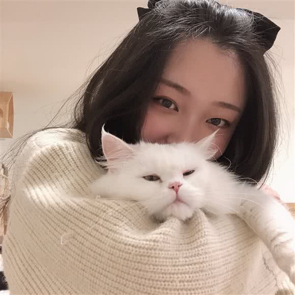 包包熊猫吧:重庆城区万州区