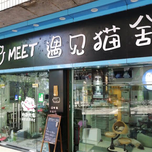 遇见猫舍:重庆城区万州区