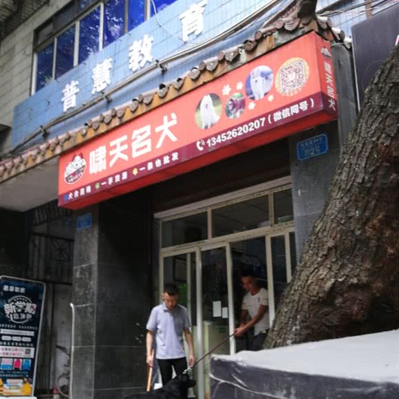 啸天名犬:重庆城区万州区