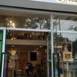 包包熊宠屋:重庆城区万州区