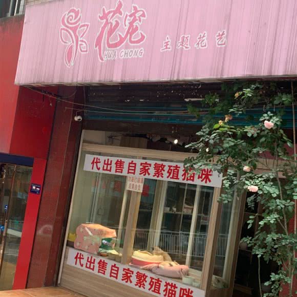 花宠:重庆城区涪陵区