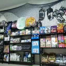 宠吧小屋:沈阳市大东区东中街附近