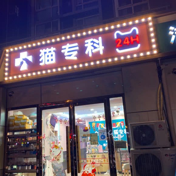 猫专科:北京城区朝阳区双桥附近